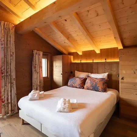 L'aiglon - 10 Pers - Jacuzzi Sauna Tatil Evi *